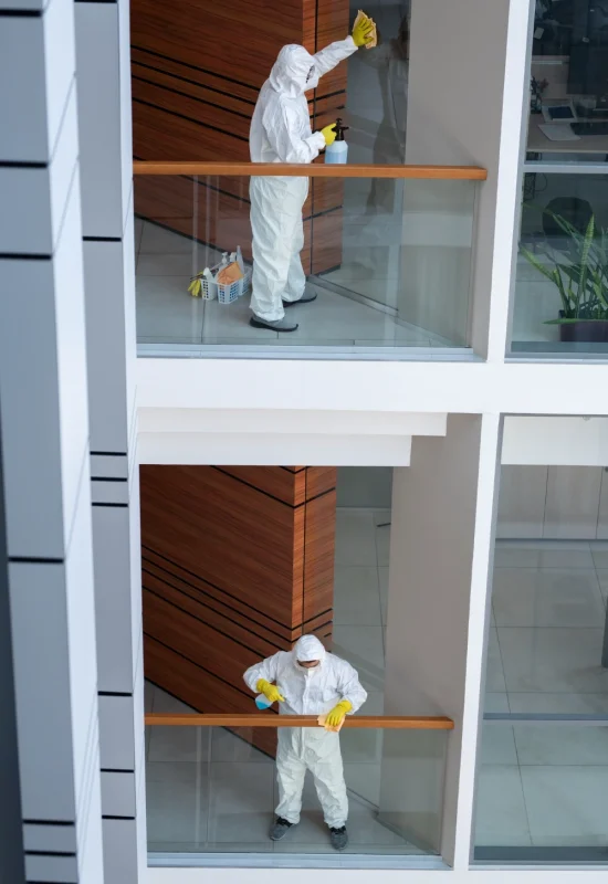 Hazard Removal Section image 02